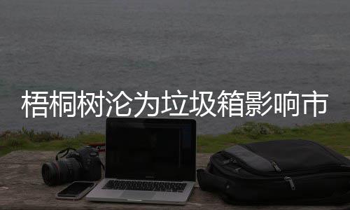 梧桐树沦为垃圾箱影响市容存在安全隐患 梧桐为垃由于因各种原因