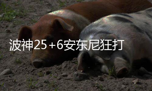 9日早报:太阳老总否认大交易 TT克利夫兰购豪宅 黄蜂在三节结束时以75-71领先