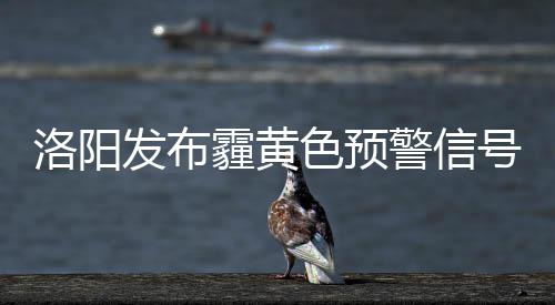 河南省消费者协会发布游客出游消费提示 霾黄民需空气质量差