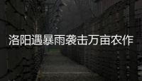 洛阳遇暴雨袭击万亩农作物被毁 造成15968人受灾