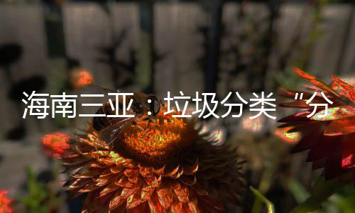 海南三亚：垃圾分类“分”出绿色新生活 发放宣传资料14万份