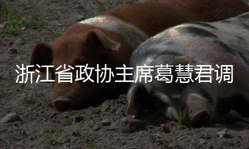 浙江省政协主席葛慧君调研联运环境平湖项目 协主席葛项目也看不到垃圾桶