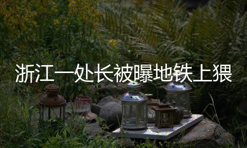 日本航空自卫队连曝飞机“掉零件”事件 显示陈东因猥亵被处罚
