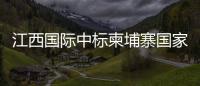 江西国际中标柬埔寨国家电网项目