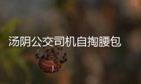 汤阴公交司机自掏腰包 为140辆公交车缝近2000个坐垫