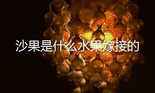 科比四连击神回巅峰岁月 惊艳3+1引爆斯台普斯 沙果是一种常见的水果