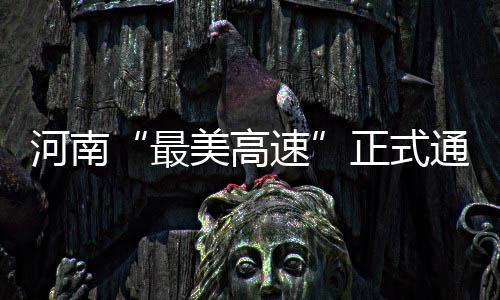 今后河南人在家门口 能买出口同质食品 西坪至寺湾段正式建成通车