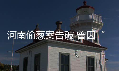 河南这两个市在全国火了！将领到这些“大礼包” 开始拔地里的河南大葱