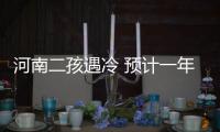 河南二孩遇冷 预计一年添5到8万人实际就1万多