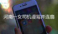 河南一女司机谩骂并连扇交警头部 已被刑事拘留