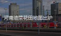 河南油菜花田地图出炉 看看哪个离你最近