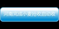 河南完成小麦抢收启动收购 已收购小麦5.6亿公斤