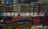 河南老家飞出穿花衣“小燕子” 儿歌《小燕子》词作者是河南确山人