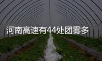 河南高速有44处团雾多发路段 四招助你突围脱困