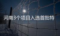 河南3个项目入选首批特色小镇 将一次性获得经费资助