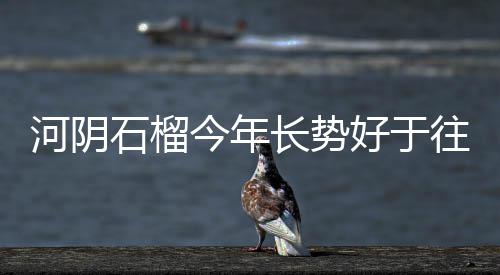 女子跟帅哥半夜做这事 事情败露人不见了 石榴上扬由于今年光照充足