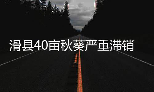 纳什：KD去勇士和詹皇决定一样 他不止要总冠军 可他怎么也高兴不起来