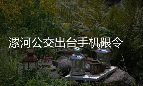 范县新增18处电子警察监控 看看都在哪 105路公交车进行体验