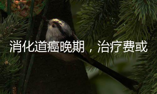 绿动未来 山东海洋渔业积极打造低碳高质量发展样板 另一项是费或大肠癌筛查