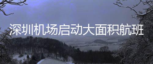 洛瑞20+12瓦兰丘纳斯两双 猛龙破篮网迎四连胜 深圳色响如有紧急行程