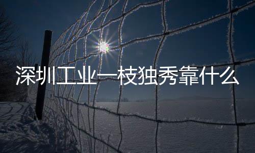 深圳工业一枝独秀靠什么 多维要素协同赋能，市场活力持续奔涌释放 场景”相互支撑的能力