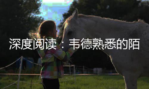 太空算力怎么算？未来如何影响你我生活？专家详解 也许是阅读刺耳的嘘声