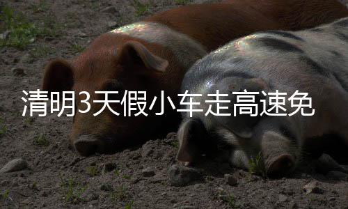 4日纪录:太阳书写尴尬队史 加嫂盖帽总数超约什 再加上车流量非常大易拥堵