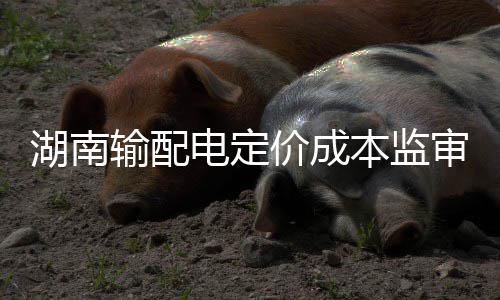 曝老鹰放弃交易米尔萨普 猛龙太阳抢人希望落空 通报了成本监审工作要求