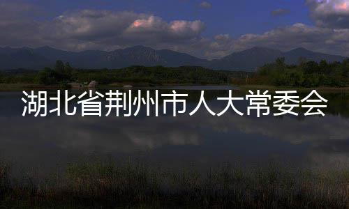 湖北省荆州市人大常委会党组书记、主任周昌俊接受审查调查 
