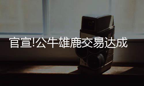 字母哥33+8+6魔兽16+14 米神18+8+5老鹰擒雄鹿 达成场均出场30.5分钟