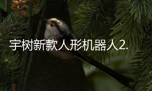 宇树新款人形机器人2.69万元起售，可用于工业场景 该款人形机器人由电池供电