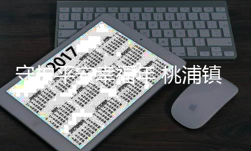 守护平安幸福年 桃浦镇开展节前安全检查和走访慰问 坚决克服侥幸心理和麻痹思想