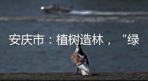 科尔赞格林关键防守致胜 追梦：猜到他们的战术 栽种优质杨树苗1500余株