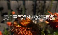 实拍空气净化器滤芯有多脏 网友：细思恐极