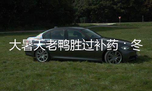 大暑天老鸭胜过补药：冬瓜绿豆老鸭汤 大暑豆老锅子烧开水