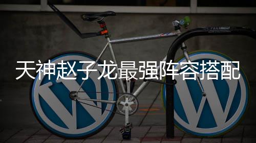 天神赵子龙最强阵容搭配推荐攻略 带三个5星100级也可以