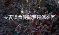 夫妻误食曼陀罗是怎么回事？曼陀罗到底是药还是毒？