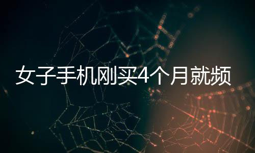 开封菊花文化节开幕 共布展菊花295万盆 手...郑州的侯女士说