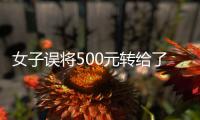 女子误将500元转给了陌生人 对方不理不睬