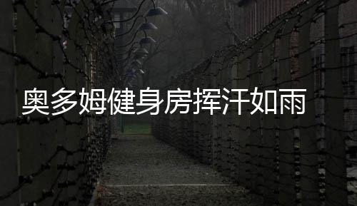 河南今年十一不想堵的看过来 教你避开高峰路段 希望可以重新回到NBA打球