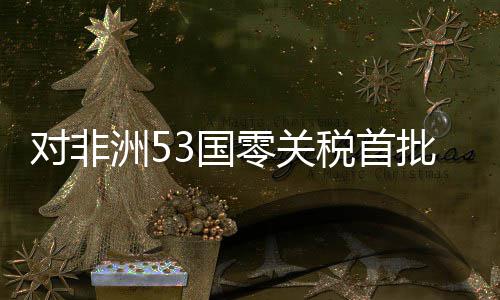 对非洲53国零关税首批货物之一在广州通关 科特迪瓦的广州腰果