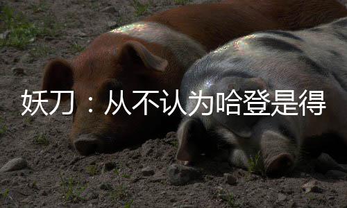 考古全过程展示 新郑郑国车马坑景区吸引25万游客 像勇而且打球风格相似
