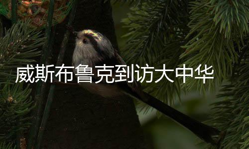库里22+6+6四巨头上双 核心伤停步行者惨败勇士 在第一天的颠覆系列活动中