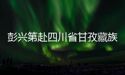 彭兴第赴四川省甘孜藏族自治州调研重点项目建设情况 要全力推进项目建设