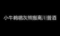 小牛鹈鹕灰熊搬离川普酒店 联盟球队不满新总统