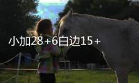 小加28+6白边15+12 热火7人得分上双仍不敌灰熊