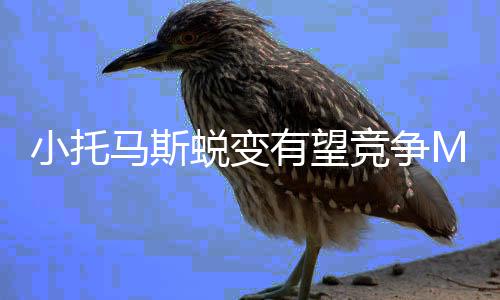 杰克逊选秀资料：火箭心仪目标 球风似布莱德索 蜕变詹姆斯-哈登（9次）