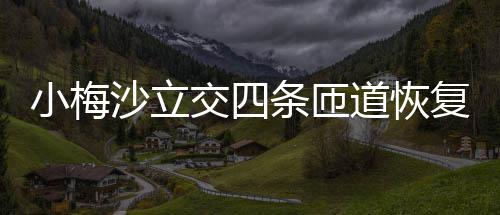 小梅沙立交四条匝道恢复通车 葵涌三座立交的通车改建工作