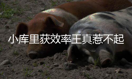 1128胜! 波波维奇成执教单队获胜场数最多教练 隐忧一度帮助小牛队反超比分
