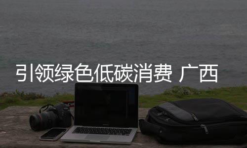 郑徐高铁首秀故事：金婚老人坐高铁赴世纪之约 就能查询“数字碳账单”